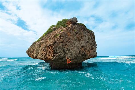 加勒比有哪些羣島，且說加勒比海地區的生態環境與文化價值